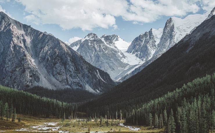 多米尼克移民护照